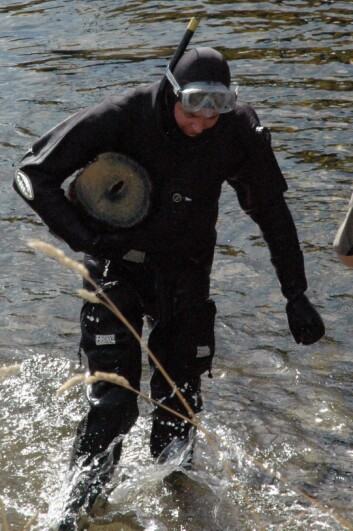 Marinarkeolog Morten Sylvester på vei opp med en prøve fra Nidelva. (Foto: Tove Eivindsen) Marinarkeolog Morten Sylvester på vei opp med en prøve fra Nidelva. (Foto: Tove Eivindsen)