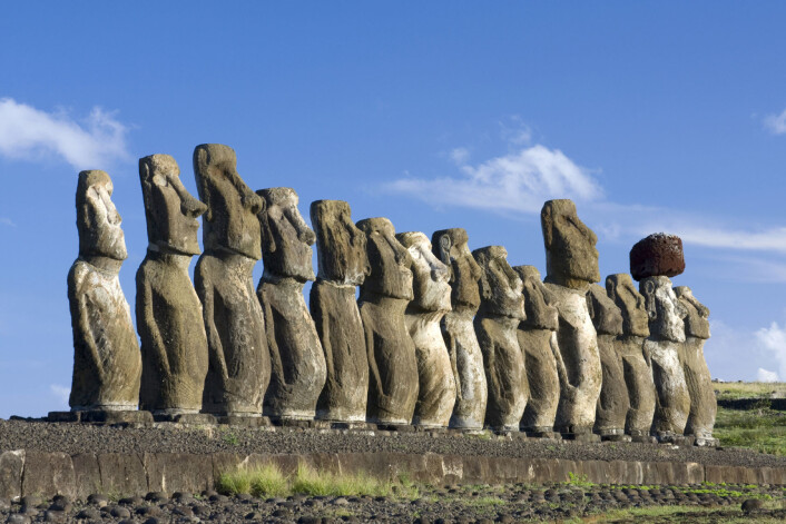 "Innbyggerne på Påskeøya brukte så mye av øyas palmeskog på reisverk til de imponerende Moai-statuene at de til slutt ikke hadde nok treverk til hus og båter. (Illustrasjonsfoto: iStockphoto)" "Innbyggerne på Påskeøya brukte så mye av øyas palmeskog på reisverk til de imponerende Moai-statuene at de til slutt ikke hadde nok treverk til hus og båter. (Illustrasjonsfoto: iStockphoto)"