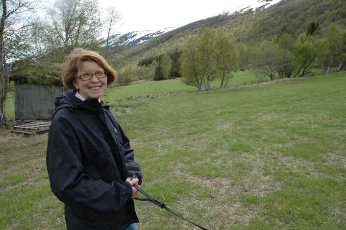 Ann Norderhaug har skrevet kapittelet om kulturmark og boreal hei i Rødlista sammen med Line Johansen fra Bioforsk Midt-Norge. (Foto: Jon Schärer) Ann Norderhaug har skrevet kapittelet om kulturmark og boreal hei i Rødlista sammen med Line Johansen fra Bioforsk Midt-Norge. (Foto: Jon Schärer)
