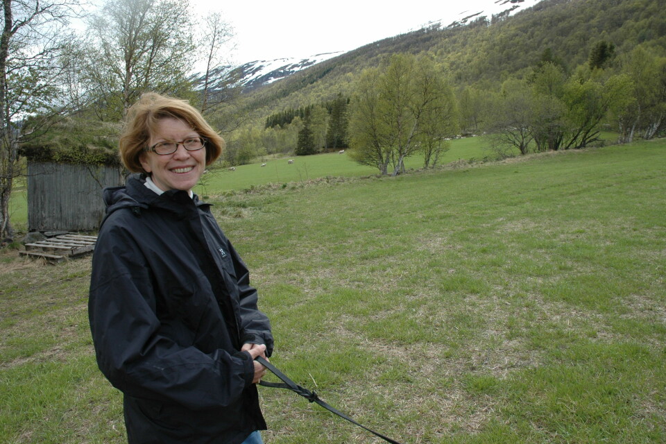 Ann Norderhaug har skrevet kapittelet om kulturmark og boreal hei i Rødlista sammen med Line Johansen fra Bioforsk Midt-Norge. (Foto: Jon Schärer)