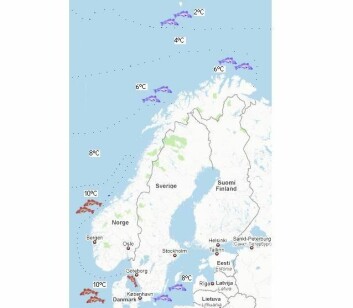 Kaldtvannstypen av torsk (blå) får problemer ved temperaturer over 8ºC, mens varmtvannstypen (rød) klarer seg opp til 12ºC. For øyeblikket er det østersjøtorsken som opplever de største problemene. Årlig middeltemperaturer målt på 100 meters dyp er vist. (Illustrasjon: Wenche Aale Hægermark/Kart: Google Maps)