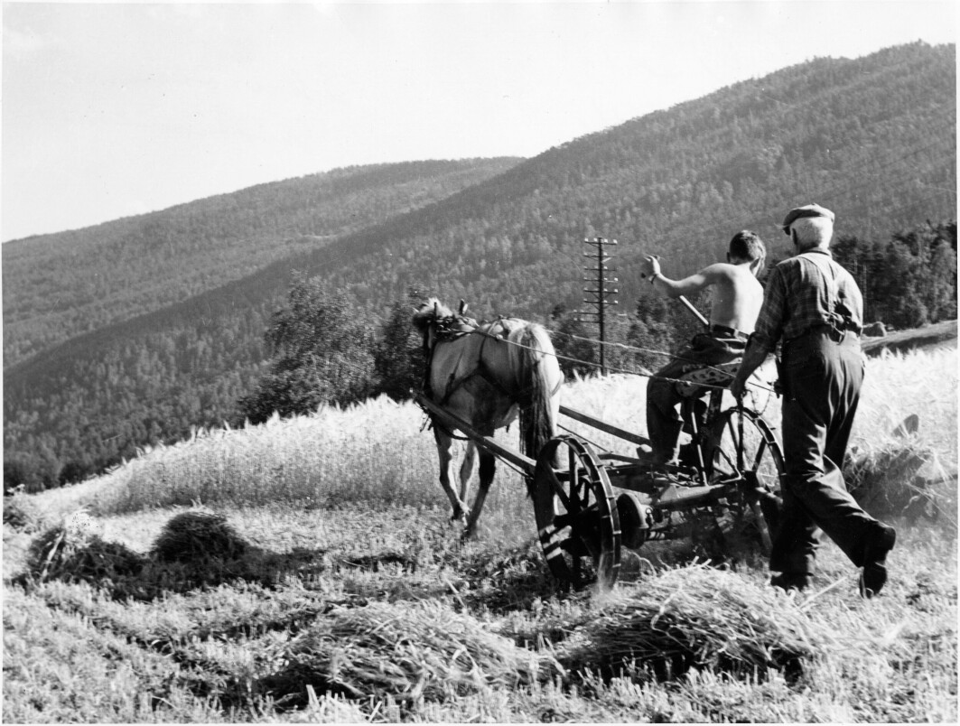 Skuronn i Gudbrandsdalen. Folk skulle klare seg selv, uten hjelp fra det offentlige. Dette var holdningen til mange bønder i Norge som gikk imot offentlige velferdsordninger. Skuronn i Gudbrandsdalen. Folk skulle klare seg selv, uten hjelp fra det offentlige. Dette var holdningen til mange bønder i Norge som gikk imot offentlige velferdsordninger.
