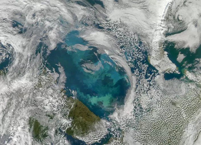 Algeblomstring i Barentshavet. Vi kan se kysten av Kola-halvøya nederst i midtre del av bildet. Den russiske øygruppa Novaja Semlja kan skimtes øverst til høyre og norskekysten til venstre. Bildet er tatt i august 2010 og viser en annen type planktonblomstring enn den som omtales i artikkelen. (Foto: Norman Kuring/NASA Ocean Color Group)