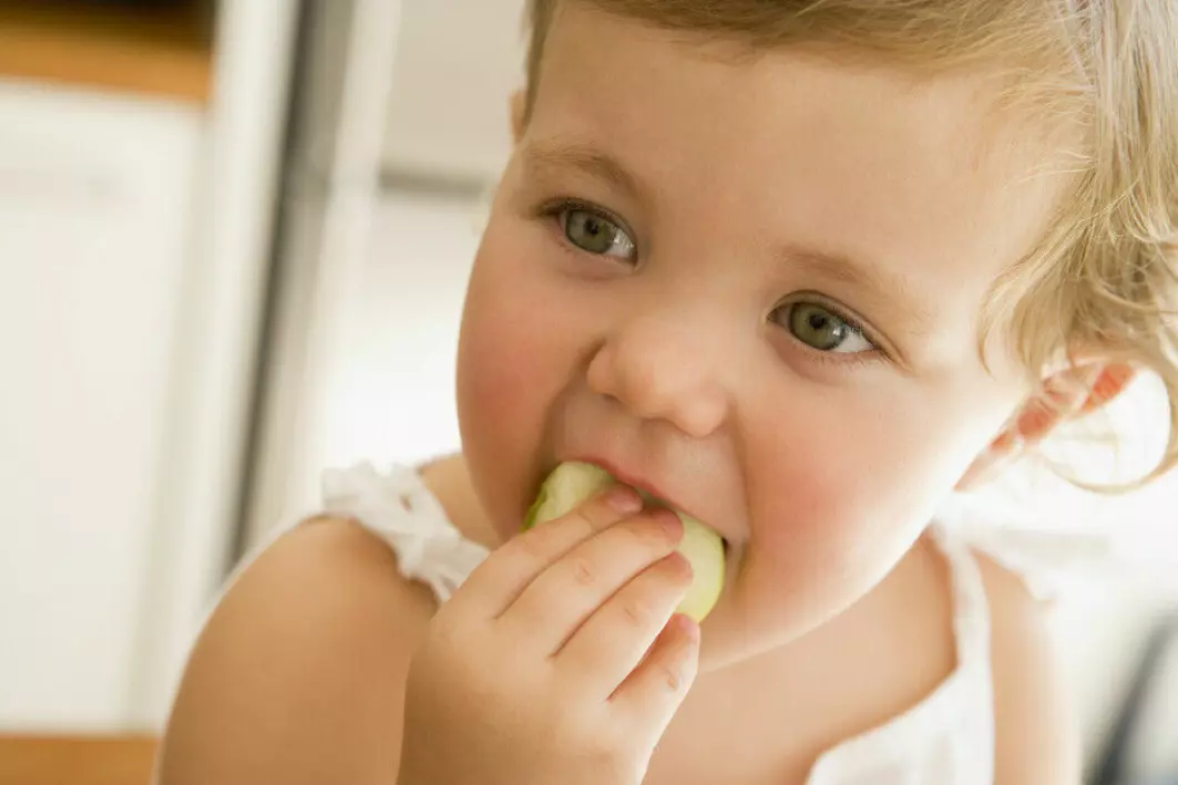 – Får barn gode matvaner tidlig, er det en større sjanse for at de får god helse på kort og lang sikt, sier Tormod Bjørkkjær.