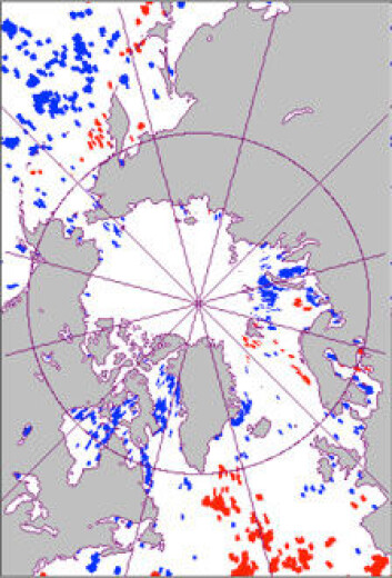 Kartet viser havområder med tidligere algeblomstring (markert med blått) og områder med seinere blomstring (rødt) basert på satelittobservasjoner 1997-2010. (Illustrasjon: Scripps Institution of Oceanography, UC San Diego) Kartet viser havområder med tidligere algeblomstring (markert med blått) og områder med seinere blomstring (rødt) basert på satelittobservasjoner 1997-2010. (Illustrasjon: Scripps Institution of Oceanography, UC San Diego)