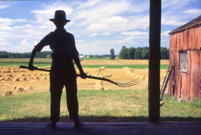 "Australske bønder sliter med de siste tyve årenes endring av nedbørsystemer, og avlinger trues nå av andre skadedyr enn tidligere. Illustrasjonsfoto: www.colourbox.no" "Australske bønder sliter med de siste tyve årenes endring av nedbørsystemer, og avlinger trues nå av andre skadedyr enn tidligere. Illustrasjonsfoto: www.colourbox.no"