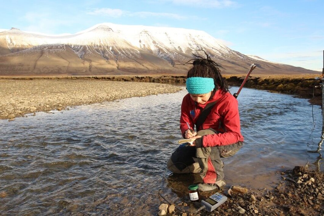 Meltwater sampling a at the end of the ablation season. Meltwater sampling a at the end of the ablation season.