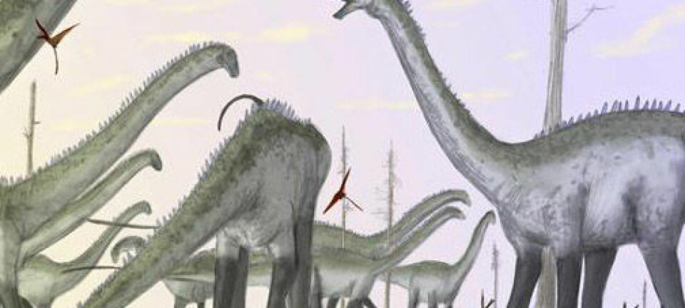 Tegning av sauropoder, slik forskerne tror de kan ha sett ut. Legg merke til de høyt hevede hodene. (Illustrasjon: Mark Witton)