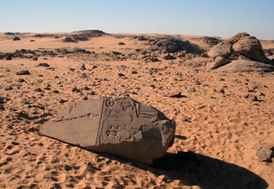 Sety I var konge fra 1294 til 1279 f.kr. Han satte i gang store steinbrudd i hard sandstein for å lage obelisker. Da han døde ble steinbruddene forlatt. Her ser vi toppen av en av hans obelisker, ferdig med inskripsjoner, forlatt i steinbruddet. (Foto: NGU)