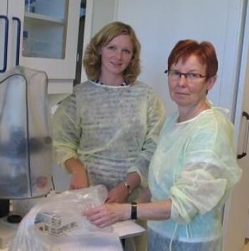 Anette Wold Åsli (t.v.) og Brit Oppegård Pedersen er klare til å tilsette sykdomsfremkallende bakterier. (Foto: Hans Blom) Anette Wold Åsli (t.v.) og Brit Oppegård Pedersen er klare til å tilsette sykdomsfremkallende bakterier. (Foto: Hans Blom)