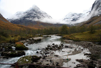 Forskerne arbeider også i vakre Erdalen i Nordfjord. Forskerne arbeider også i vakre Erdalen i Nordfjord.