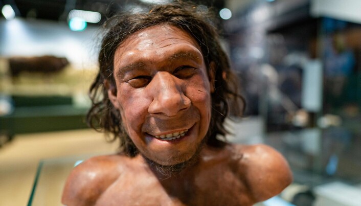 En rekonstruksjon av et neandertaler-fjes ved Nasjonalmuseet i Leiden i Nederland. Det har vært godt kjent i flere år at mange moderne mennesker fortsatt bærer på neandertaler-DNA, på grunn av miksing mellom homo sapiens og neandertalere for lang tid siden. En rekonstruksjon av et neandertaler-fjes ved Nasjonalmuseet i Leiden i Nederland. Det har vært godt kjent i flere år at mange moderne mennesker fortsatt bærer på neandertaler-DNA, på grunn av miksing mellom homo sapiens og neandertalere for lang tid siden.