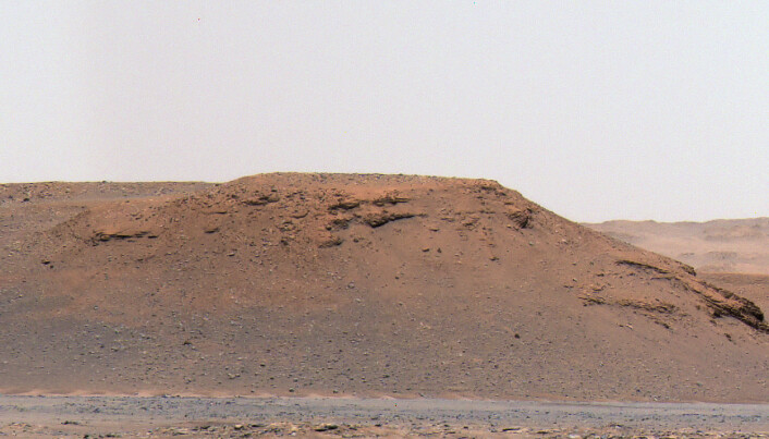 Detaljer fra «scarp A». Detaljer fra «scarp A».