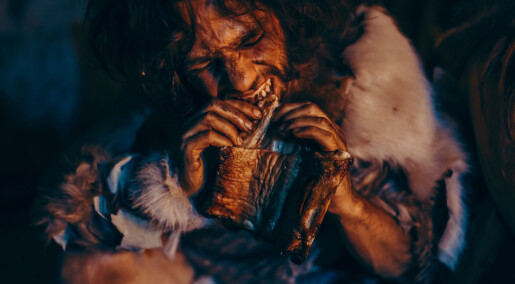 Neandertalere ble beskyttet mot sult av en genvariant som forsvant