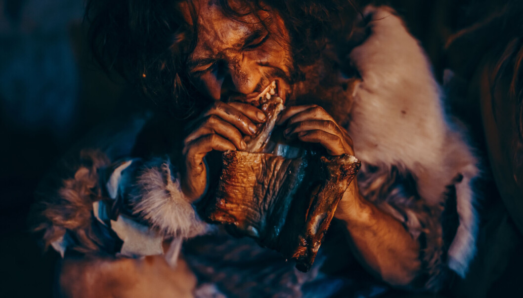 – Det skjedde noe etter splittelsen mellom neandertalere og det moderne mennesket, sier Marie Saitou. – Det skjedde noe etter splittelsen mellom neandertalere og det moderne mennesket, sier Marie Saitou.