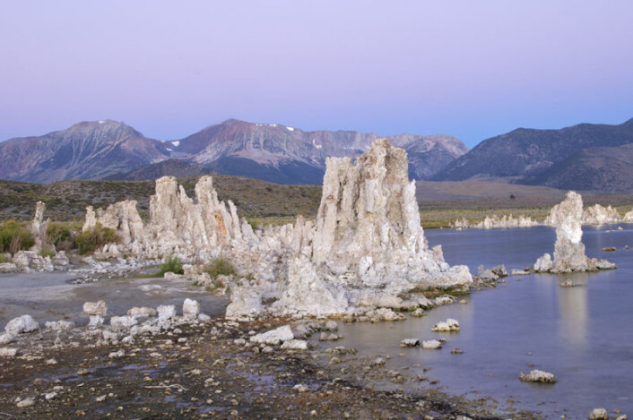 Kalksteinformasjoner (såkalte tufa) i Mono Lake i California. (Foto: Henry Bortman) Kalksteinformasjoner (såkalte tufa) i Mono Lake i California. (Foto: Henry Bortman)