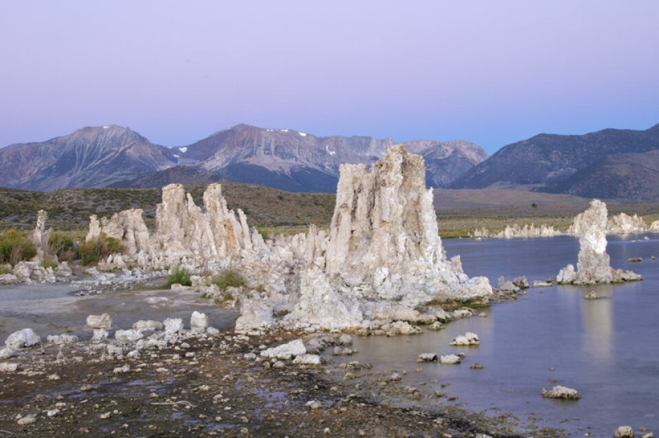 Kalksteinformasjoner (såkalte tufa) i Mono Lake i California. (Foto: Henry Bortman)