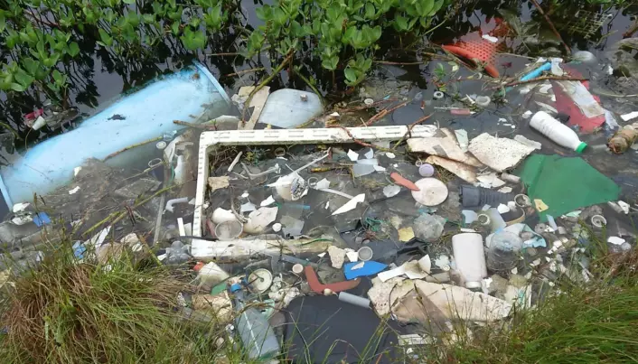 På Lisle Lyngøyna har dette tjernet vokst seg større fordi plasten holder igjen vannet. Fugler og dyr som drikker av tjernet kan få i seg både miljøgifter og mikroplast.