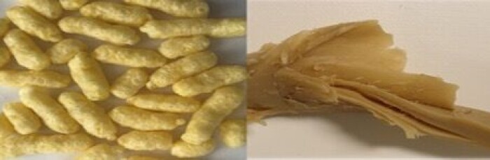 Slik ser det vegetarbaserte erstatningskjøttet fra bønner og erter ut, avhengig av om prosessen bak kalles <span class="italic" data-lab-italic_desktop="italic">tørrekstrudering</span> (venstre) eller <span class="italic" data-lab-italic_desktop="italic">våtekstrudering</span>. Det tørrekstruderte produktet minner litt om ostepopp og kan brukes til å lage pølser og farser. Det våtekstruderte produktet har en struktur som minner mye mer om rent kjøtt. Nå vil forskerne se på hvordan disse proteinpreparatene kan bli til flere matprodukter. Slik ser det vegetarbaserte erstatningskjøttet fra bønner og erter ut, avhengig av om prosessen bak kalles <span class="italic" data-lab-italic_desktop="italic">tørrekstrudering</span> (venstre) eller <span class="italic" data-lab-italic_desktop="italic">våtekstrudering</span>. Det tørrekstruderte produktet minner litt om ostepopp og kan brukes til å lage pølser og farser. Det våtekstruderte produktet har en struktur som minner mye mer om rent kjøtt. Nå vil forskerne se på hvordan disse proteinpreparatene kan bli til flere matprodukter.