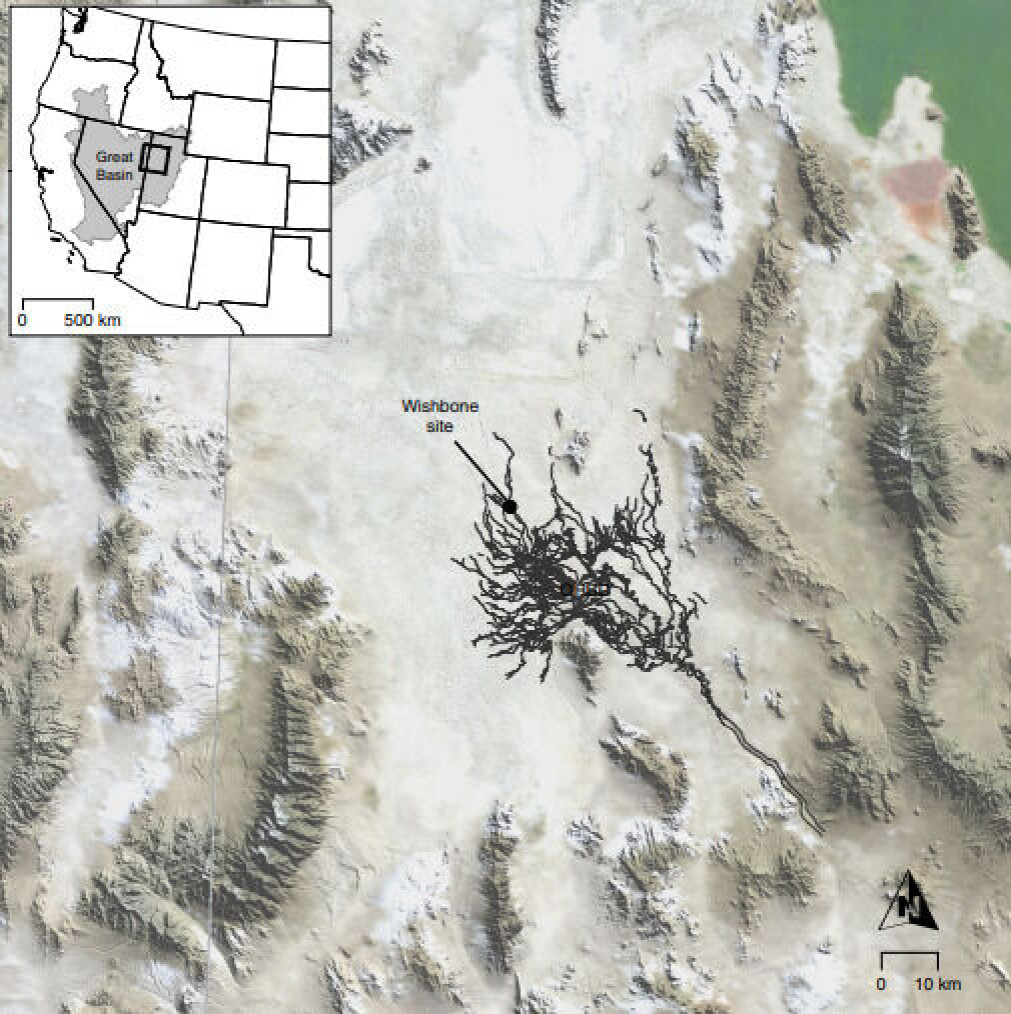 I det vestlige Utah har arkeologer funnet 12.000 år gamle forkullede tobakksfrø som trolig er restene av tyggetobakk. I det vestlige Utah har arkeologer funnet 12.000 år gamle forkullede tobakksfrø som trolig er restene av tyggetobakk.