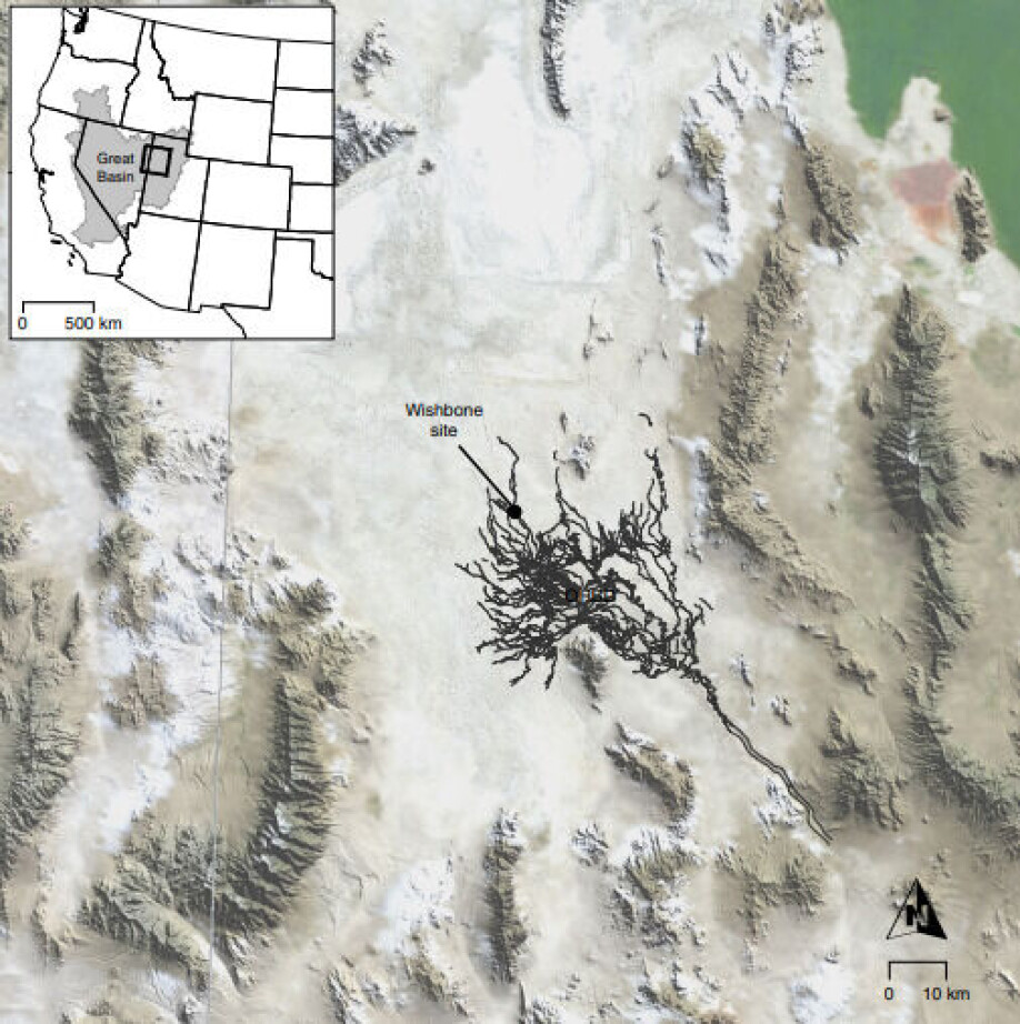 I det vestlige Utah har arkeologer funnet 12.000 år gamle forkullede tobakksfrø som trolig er restene av tyggetobakk.