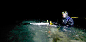 Professor Jørgen Berge med Iver-2 roboten i Kongsfjorden Professor Jørgen Berge med Iver-2 roboten i Kongsfjorden