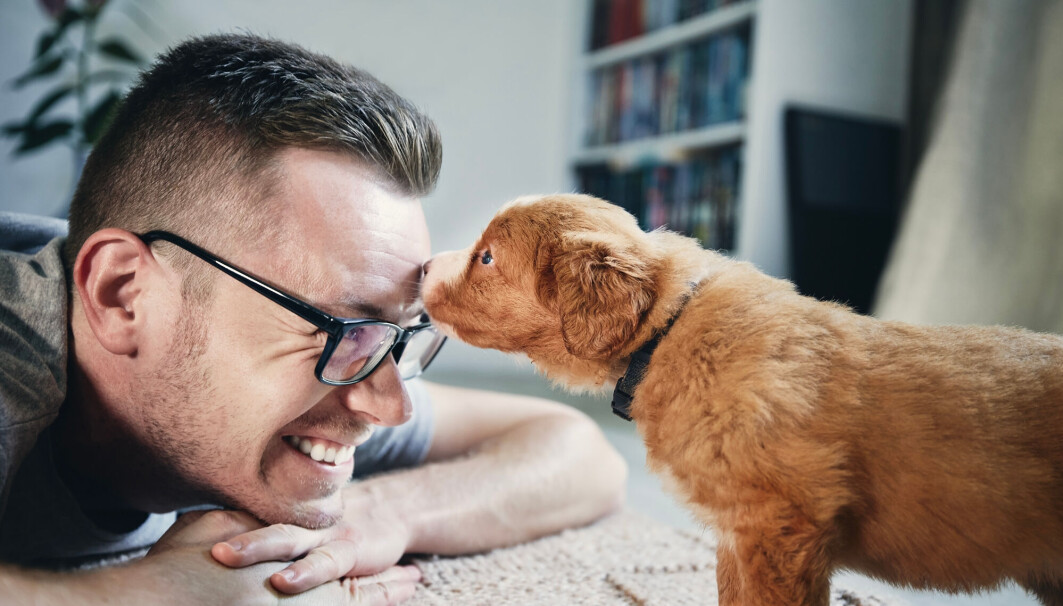Logopeder får stadig høre av personer som stammer at de ikke stammer når de snakker med seg selv eller når de snakker med hunden sin, forteller norsk forsker og logoped. Logopeder får stadig høre av personer som stammer at de ikke stammer når de snakker med seg selv eller når de snakker med hunden sin, forteller norsk forsker og logoped.
