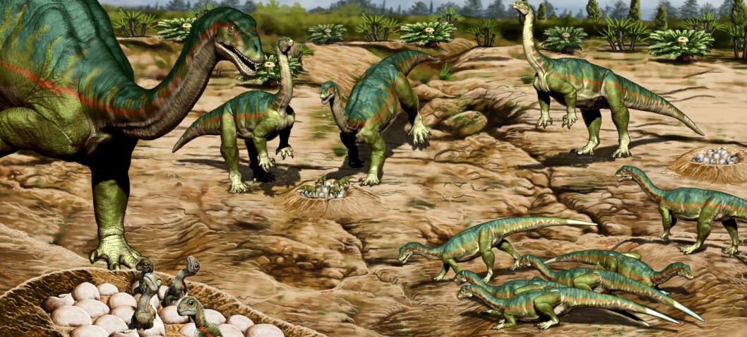 Dinosaurer levde i flokk mye tidligere enn forskerne trodde