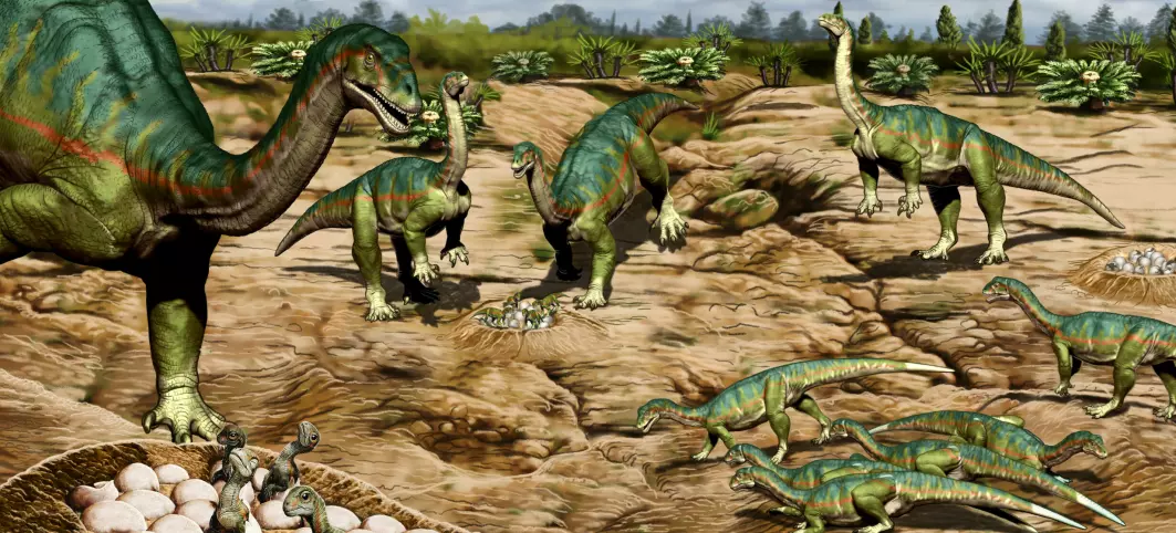 Dinosaurer kan ha samarbeidet om å passe på eggene for 190 millioner år siden.