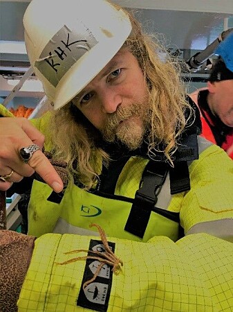 En sjølilje ervervet av en gavmild bomtrål. Fortidens sjøliljer kunne være flere titalls meter høye, på Malmøya i Oslo kan du finne en fossil med stamme på oppunder syv meter. En sjølilje ervervet av en gavmild bomtrål. Fortidens sjøliljer kunne være flere titalls meter høye, på Malmøya i Oslo kan du finne en fossil med stamme på oppunder syv meter.