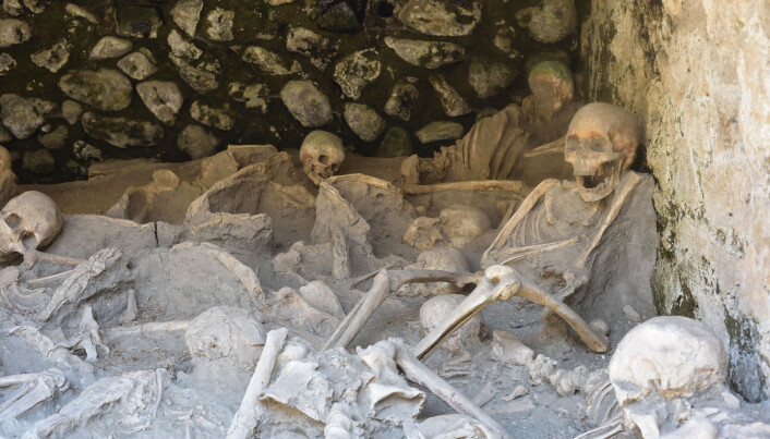 Tidligere er det blitt funnet mange hundre skjeletter klynget sammen i båthus i Herculaneum. Tidligere er det blitt funnet mange hundre skjeletter klynget sammen i båthus i Herculaneum.