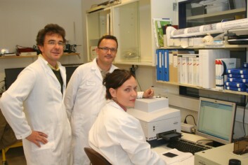 Matforskere kartlegger bakterier. Fra venstre: Achim Kohler (Nofima mat), Henri-Pierre Suso (Elopak) og stipendiat Volha Shapaval (Nofima mat). (Foto: Elopak) Matforskere kartlegger bakterier. Fra venstre: Achim Kohler (Nofima mat), Henri-Pierre Suso (Elopak) og stipendiat Volha Shapaval (Nofima mat). (Foto: Elopak)
