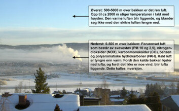 Grytelokk over Oslo Grytelokk over Oslo