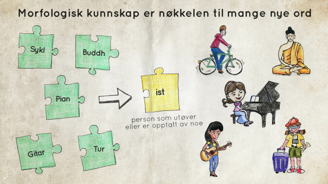 Morfologisk kunnskap er nøkkelen til mange nye ord. Morfologisk kunnskap er nøkkelen til mange nye ord.