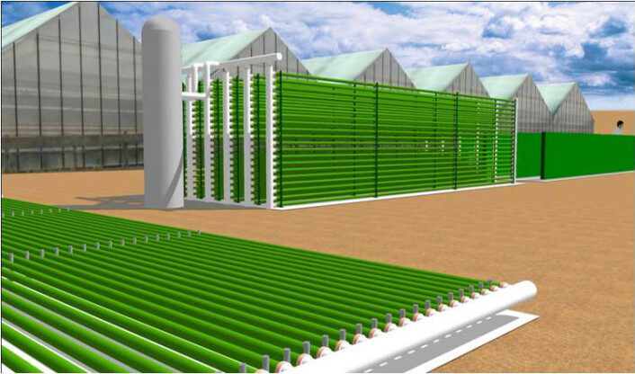Tegning av testfasiliteten AlgaePARC, som for tida er under bygging. (Foto: Science/AAAS) Tegning av testfasiliteten AlgaePARC, som for tida er under bygging. (Foto: Science/AAAS)