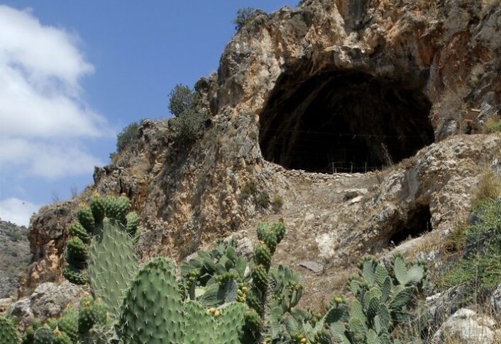 Inngangen til Hilazon Tachtit Cave, Israel, hvor restene av den 12 000 år gamle festen ble funnet. (Foto: Naftali Hilger) Inngangen til Hilazon Tachtit Cave, Israel, hvor restene av den 12 000 år gamle festen ble funnet. (Foto: Naftali Hilger)