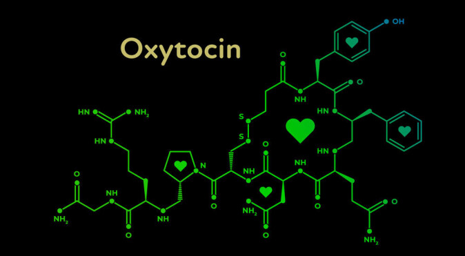 Oxytocin is released by affective touch and is important for us to feel good. Oxytocin is released by affective touch and is important for us to feel good.
