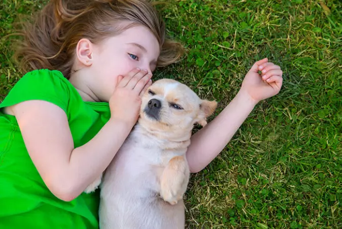 Pets can give us oxytocin refills, too.