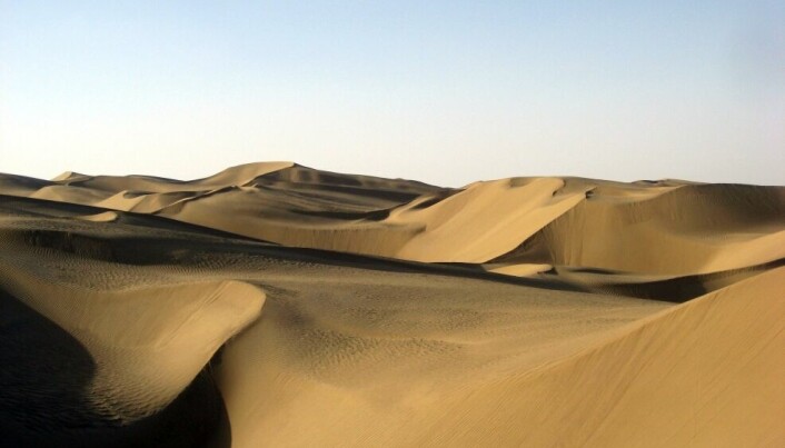 Sanddyner i den digre Taklamakan-ørkenen.