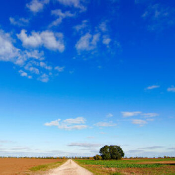 (Illustrasjonsfoto: iStockphoto) (Illustrasjonsfoto: iStockphoto)