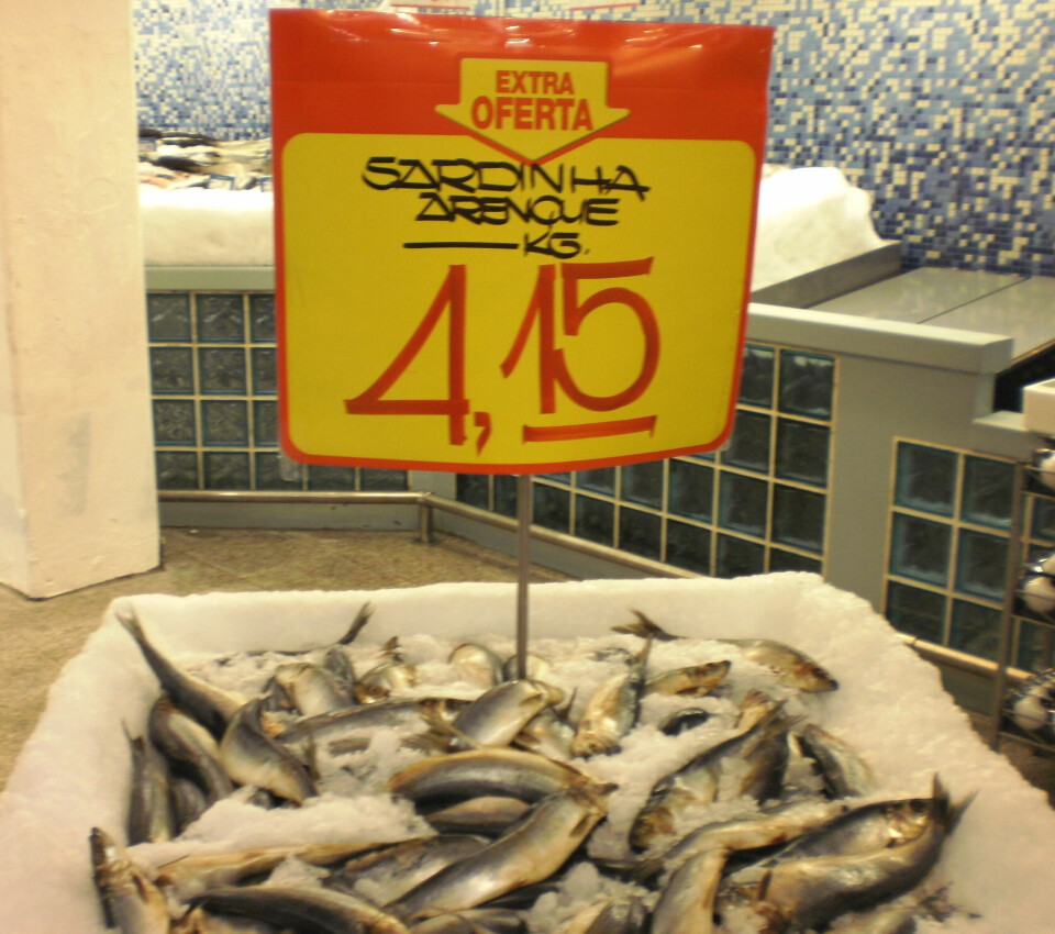 Sild er en ukjent fiskeart i Brasil, men ligner den brasilianske sardinen. Her selges den som 'Sardinha Arenque' (Sardin sild).