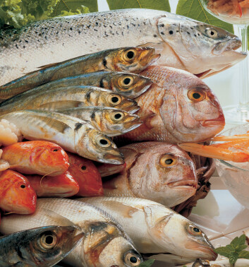 "Du treng ikkje vere redd for å få brystkreft berre fordi du ikkje et fisk. Ein ny studie visar at fiskeinntak ikkje har nokon innverknad på brystkreftutvikling." "Du treng ikkje vere redd for å få brystkreft berre fordi du ikkje et fisk. Ein ny studie visar at fiskeinntak ikkje har nokon innverknad på brystkreftutvikling."
