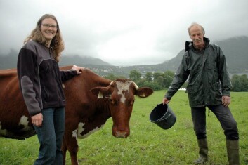 Forsker Randi Berland Frøseth ved Bioforsk Økologisk og forpakter Erik Lindhardt på Tingvoll kunne tenke seg mer norskprodusert korn i kraftfôrbøtta. (Foto: Jon Schärer) Forsker Randi Berland Frøseth ved Bioforsk Økologisk og forpakter Erik Lindhardt på Tingvoll kunne tenke seg mer norskprodusert korn i kraftfôrbøtta. (Foto: Jon Schärer)