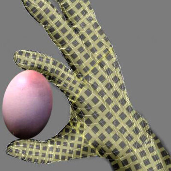 Illustrasjonen viser hvordan kunstig "e-hud" med sensorer av nanotråder i rutemønster vil bli så følsom at robothånden kan holde et egg uten å knuse det. (Illustrasjon: Ali Javey og Kuniharu Takei, Berkeley-universitetet) Illustrasjonen viser hvordan kunstig "e-hud" med sensorer av nanotråder i rutemønster vil bli så følsom at robothånden kan holde et egg uten å knuse det. (Illustrasjon: Ali Javey og Kuniharu Takei, Berkeley-universitetet)