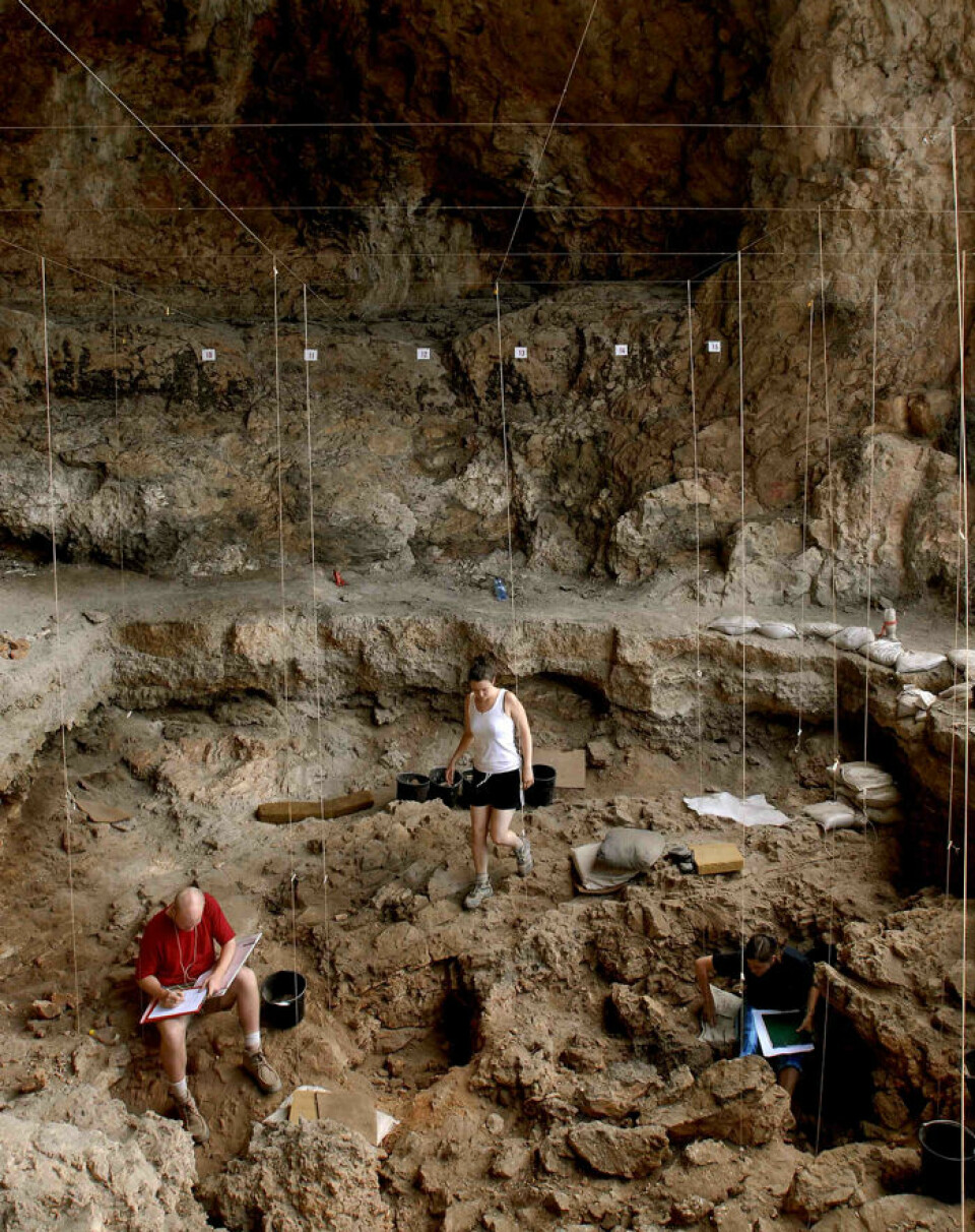 Oversikt over utgravingsstedet i Hilazon Tachtit Cave, Israel. (Foto: Naftali Hilger)