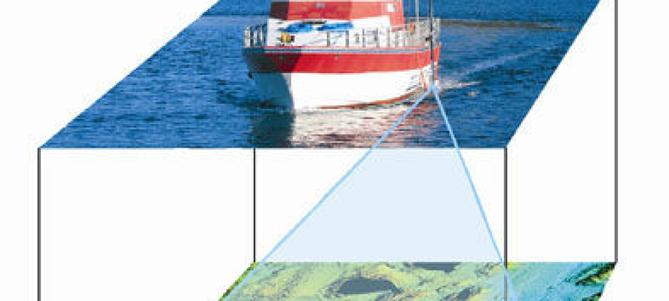 'Forskningsfartøyet Seisma scanner havbunnen med avanserte måleinstrumenter. Resultatene kan fremstilles i fargerike tredimensjonale bilder (øverst), som viser fjordene rundt Jøa. (Illustrasjoner: NGU)'