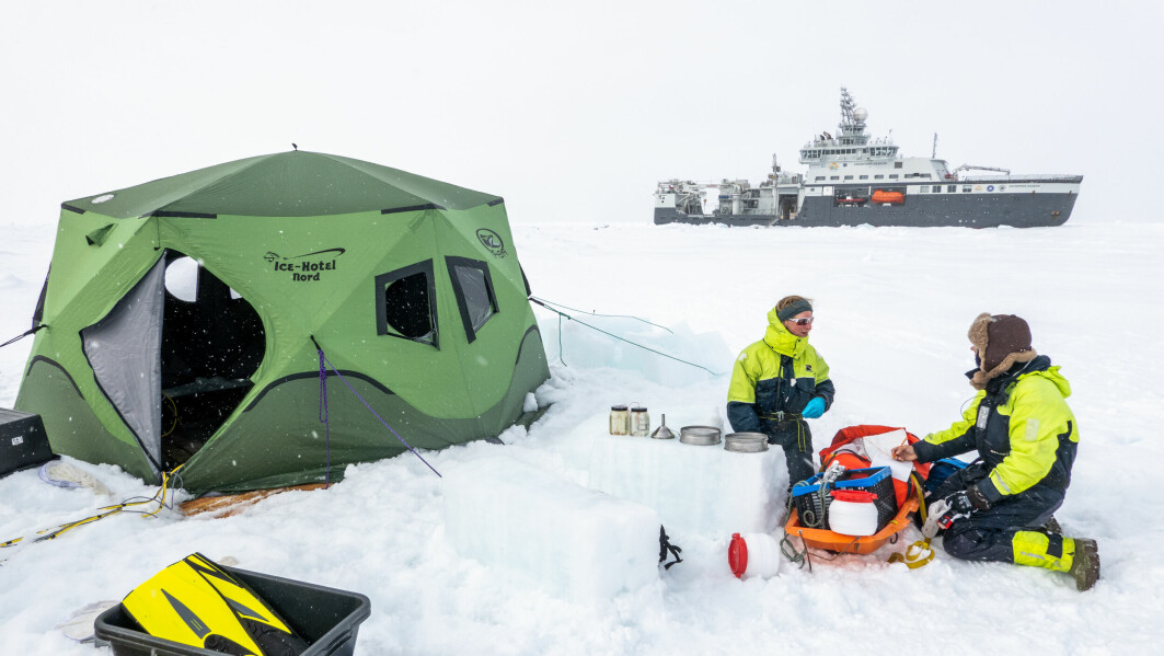 Oda Siebke Løge og Louise Kiel Jensen fra Norsk Polarinstitutt tar imot prøver som dykkere samler under vann.