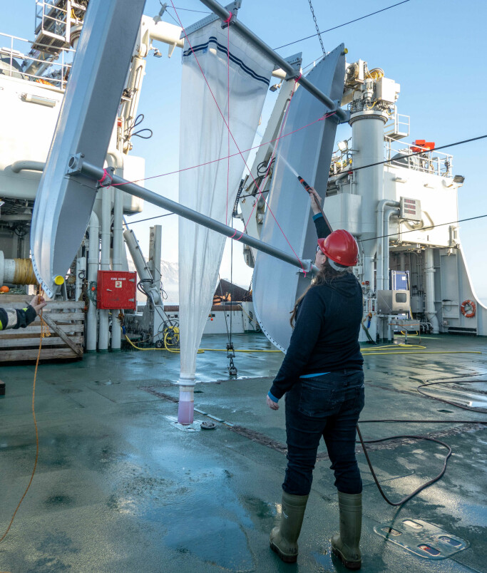 Miljøgiftforsker Ingeborg Hallanger spyler ned fangst av plankton og annet som er samlet inn fra havoverflaten i dette spesialnettet.