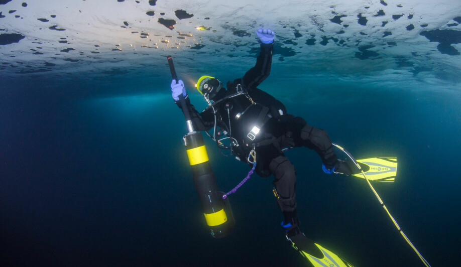 Dykker og seniorforsker Haakon Hop bruker en undervannsstøvsuger for å samle plankton under isen.