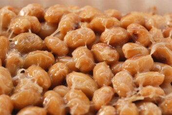 Natto er en japansk matrett og inneholder mye vitamin K2. (Foto: flickr.com/ jasja dekker) Natto er en japansk matrett og inneholder mye vitamin K2. (Foto: flickr.com/ jasja dekker)